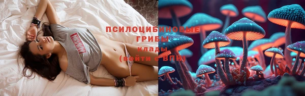 таблы Протвино