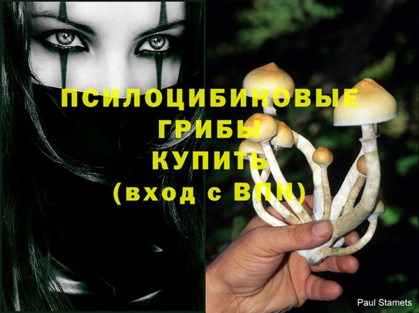 таблы Протвино