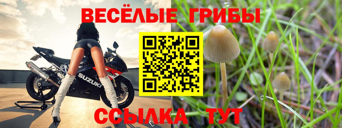 Галлюциногенные грибы MAGIC MUSHROOMS  Сарапул  Псилоцибиновые грибы MAGIC MUSHROOMS 